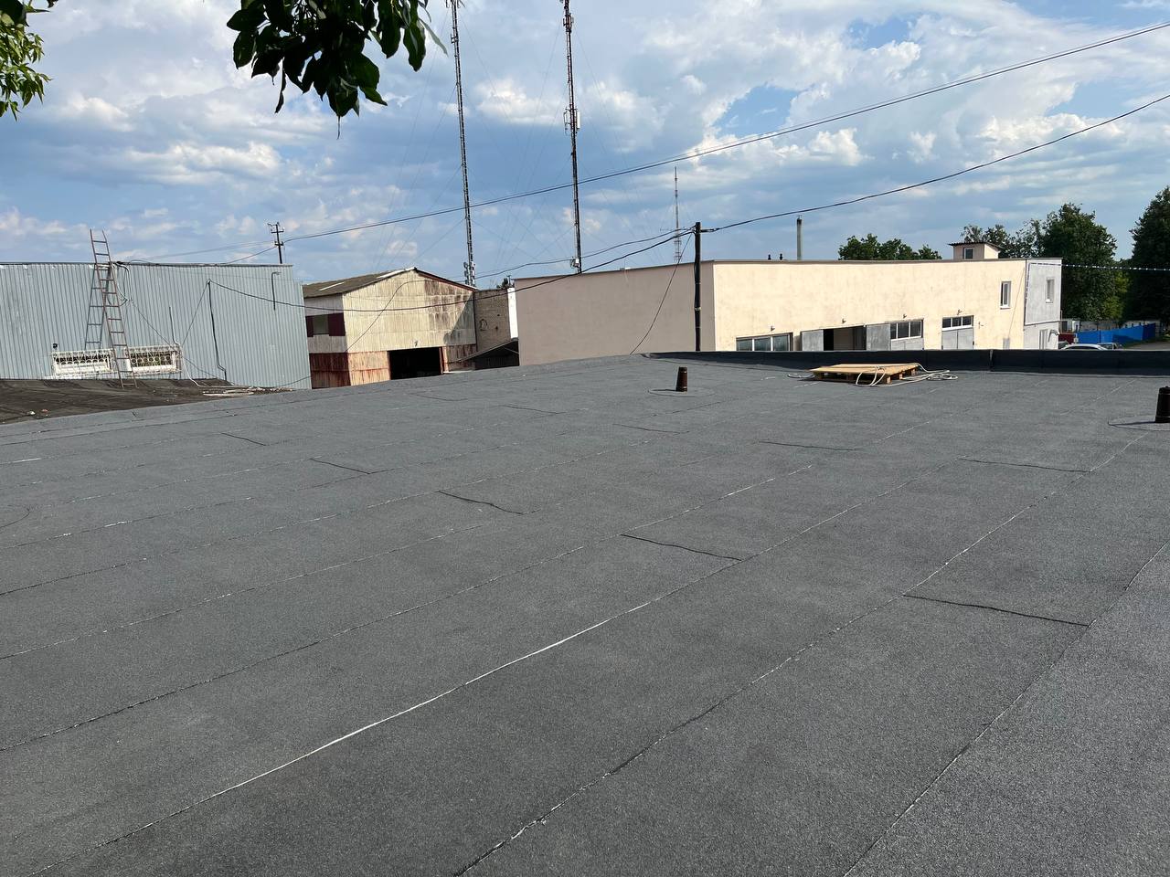 photo_15_2025-03-28_19-10-10