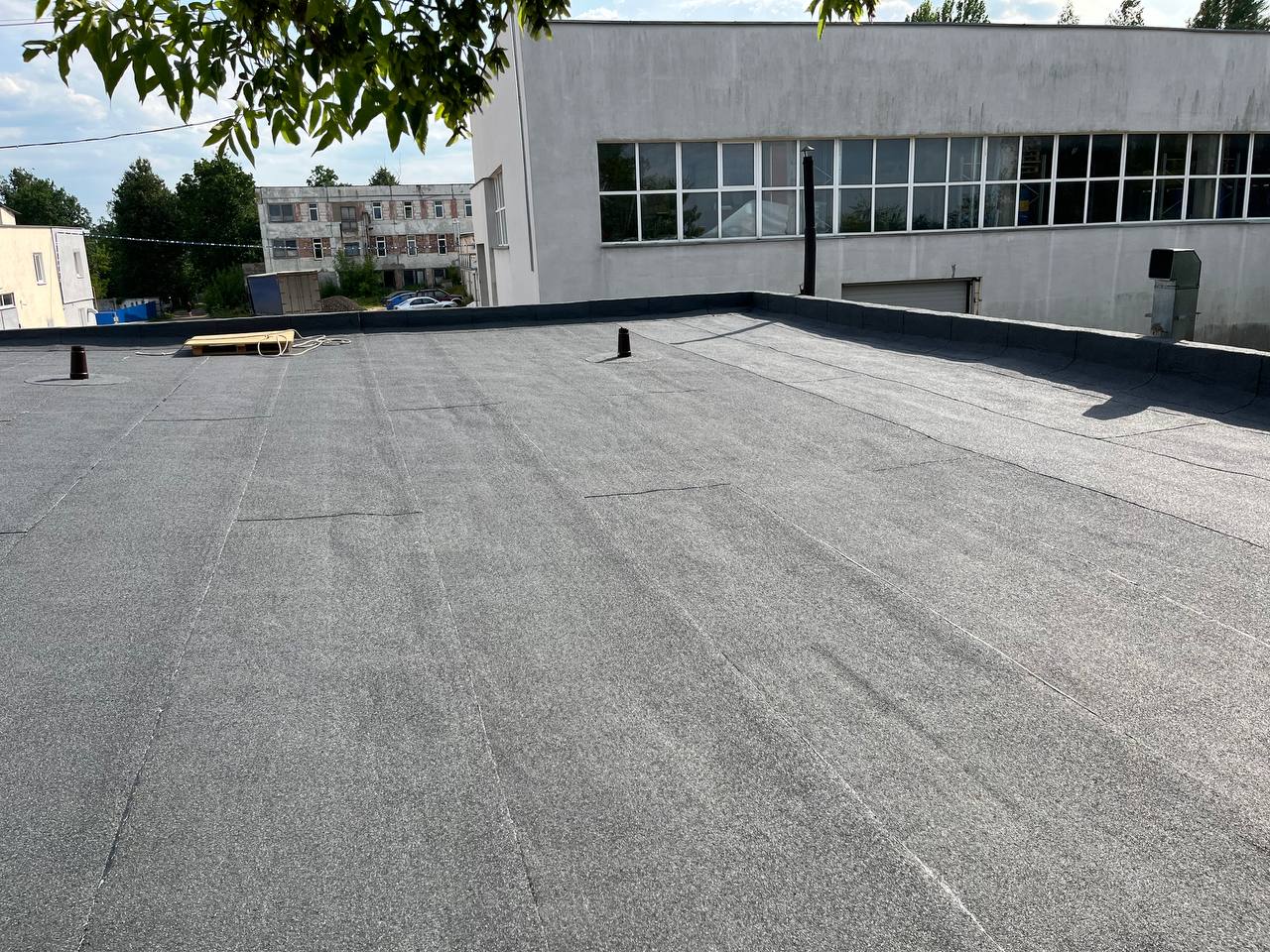 photo_22_2025-03-28_19-10-10