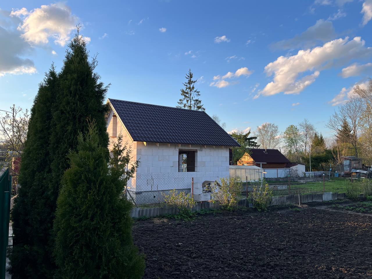 photo_8_2025-03-28_19-10-10